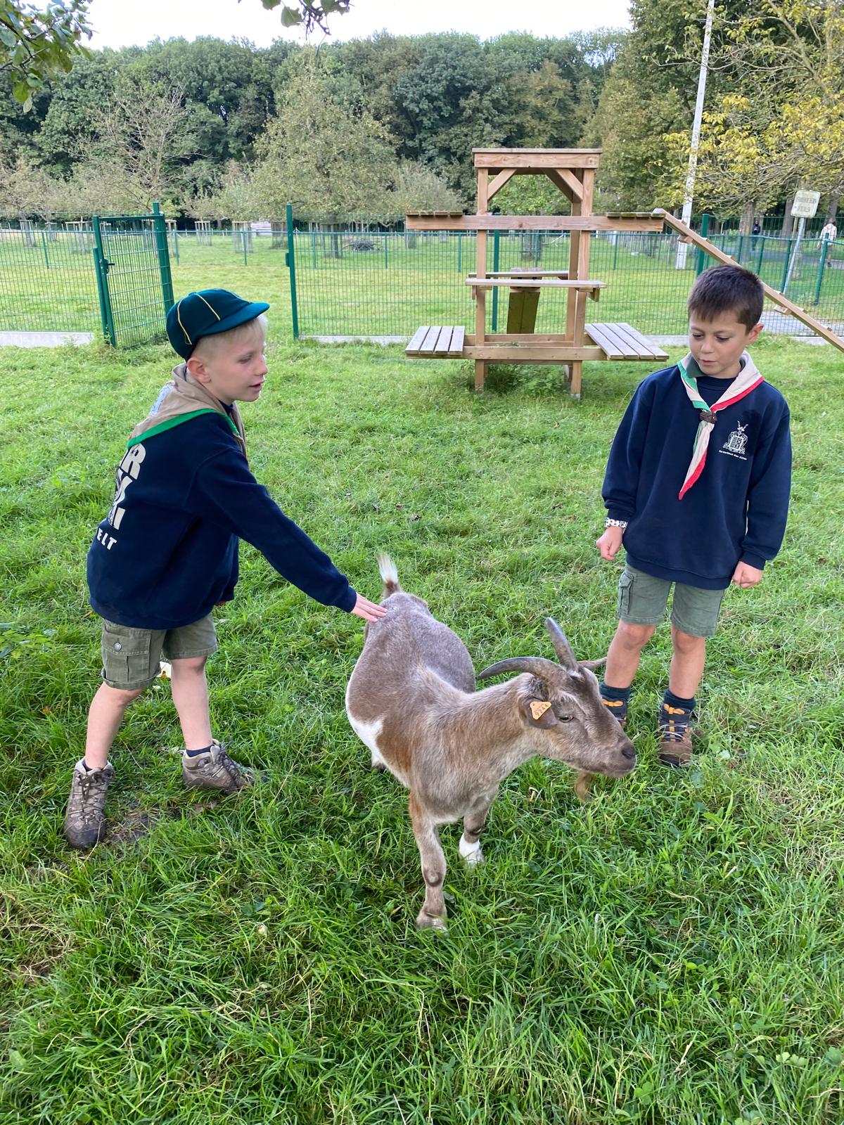Sint-Martinus den XIIde - Opening 2024